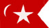 The oldest symbol of South Carolina, predating even the Palmetto tree, is the crescent.  When South Carolina seceded from the union on December 20, 1860, this flag was raised over the Customs House in Charleston.  This flag was aslo later used on the blockade runner, Dixie.